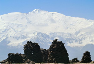 Lenin peak bun